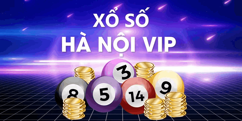 Hướng dẫn bạn cách đặt cược xổ số Hà Nội VIP đạt chính xác  